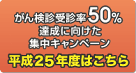 平成25年度はこちら