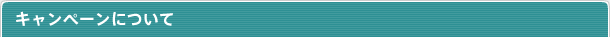 キャンペーンについて