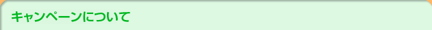 キャンペーンについて