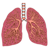Vol.1 肺がん