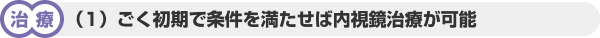 【治療】1. ごく初期で条件を満たせば内視鏡治療が可能