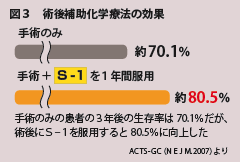 図3 述語補助化学療法の効果