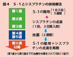 図4 S-1とシスプラチンの併用療法