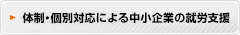 体制・個別対応による中小企業の就労支援