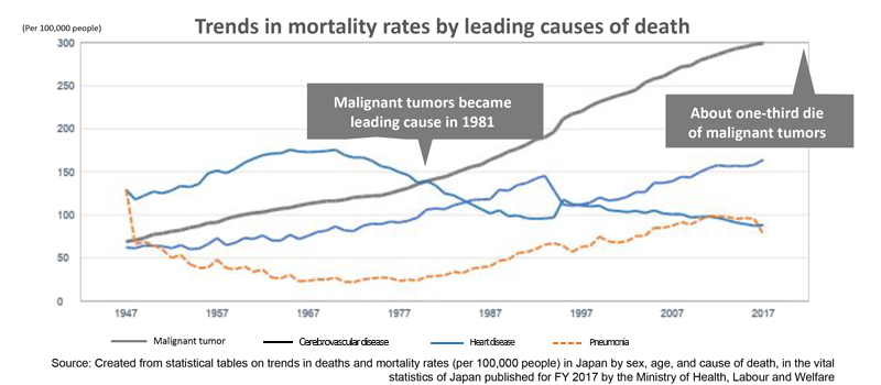 Trends in mortality rates by leading causes of death