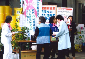 画像：活動風景