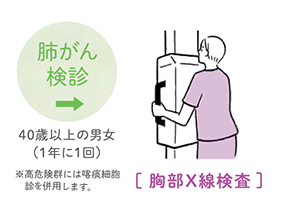 肺がん検査：40歳以上の男女（1年に1回）※高危険群には喀痰細胞診を併用します。