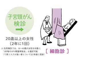 子宮頸がん検診：20歳以上の女性（2年に1回）