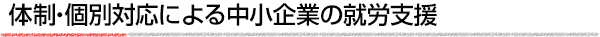 体制・個別対応による中小企業の就労支援