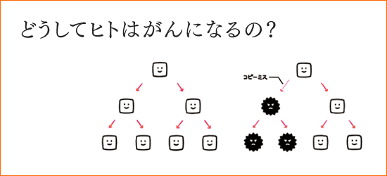 どうしてヒトはがんになるの？