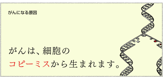 【がんになる原因】　がんは、細胞のコピーミスから生まれます。