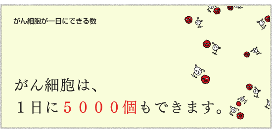 【がん細胞が一日にできる数】　がん細胞は、1日に5000個もできます。