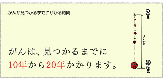 【がんが見つかるまでにかかる時間】　がんは、見つかるまでに10年から20年かかります。